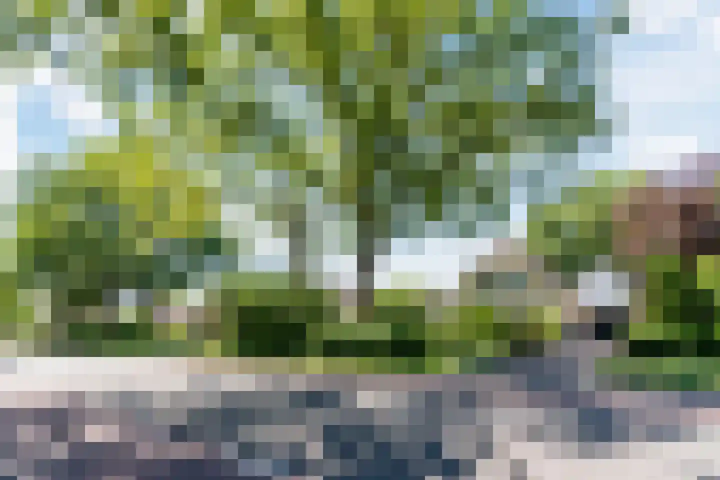 De Marsen 12 Zuidwolde thumbnail 63
