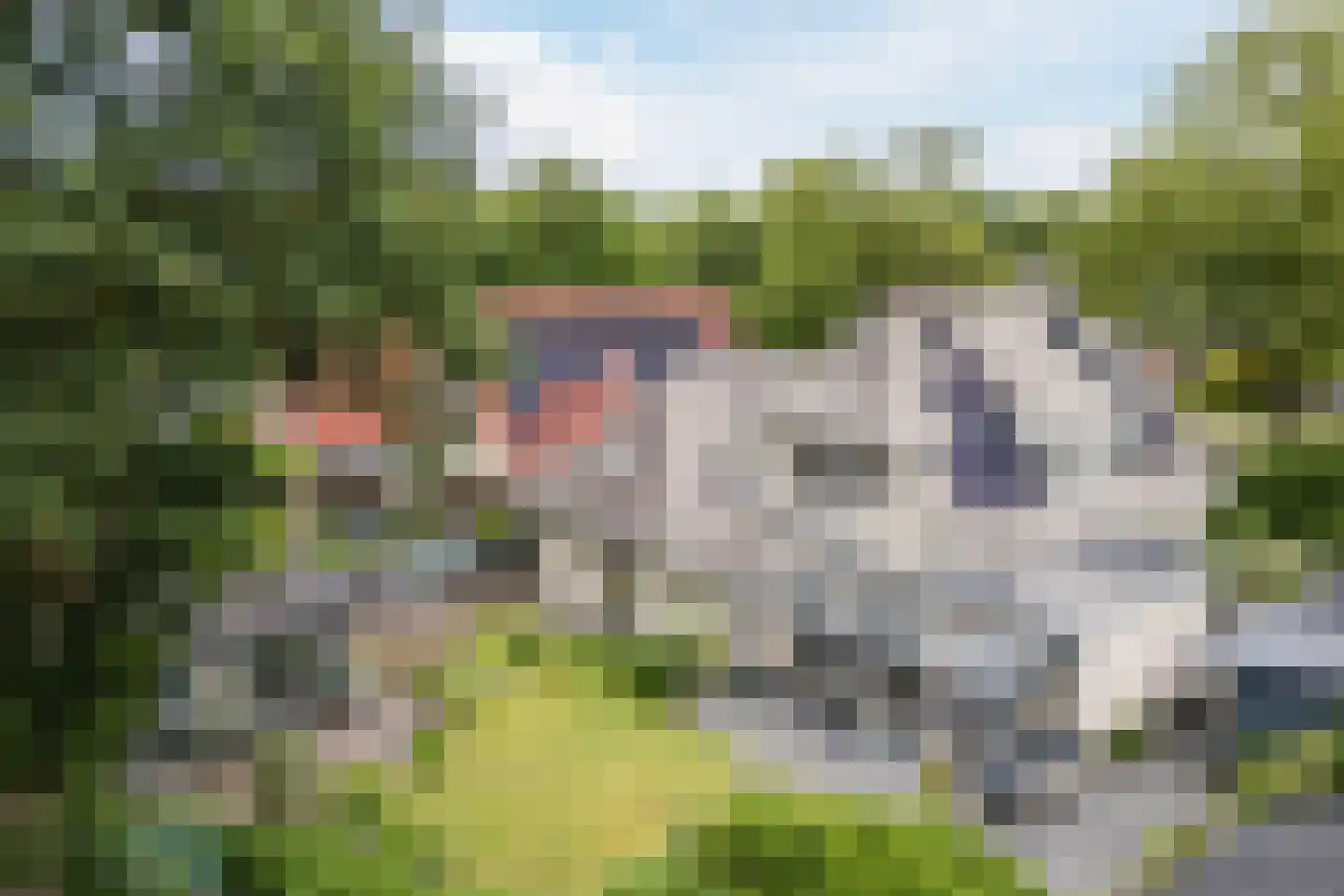 De Marsen 12 Zuidwolde thumbnail 64
