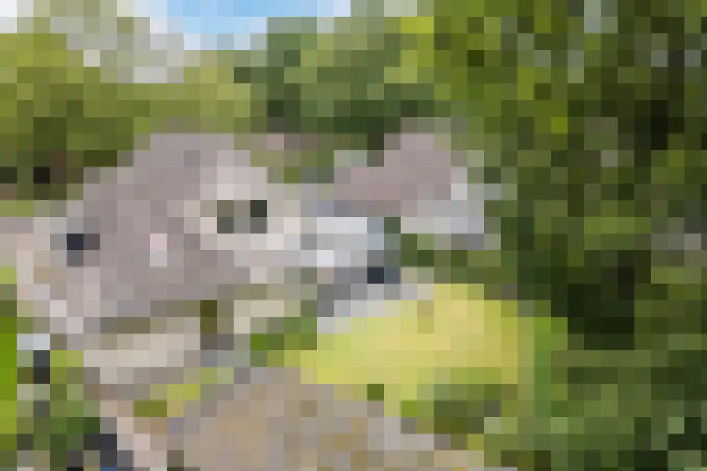 De Marsen 12 Zuidwolde thumbnail 65