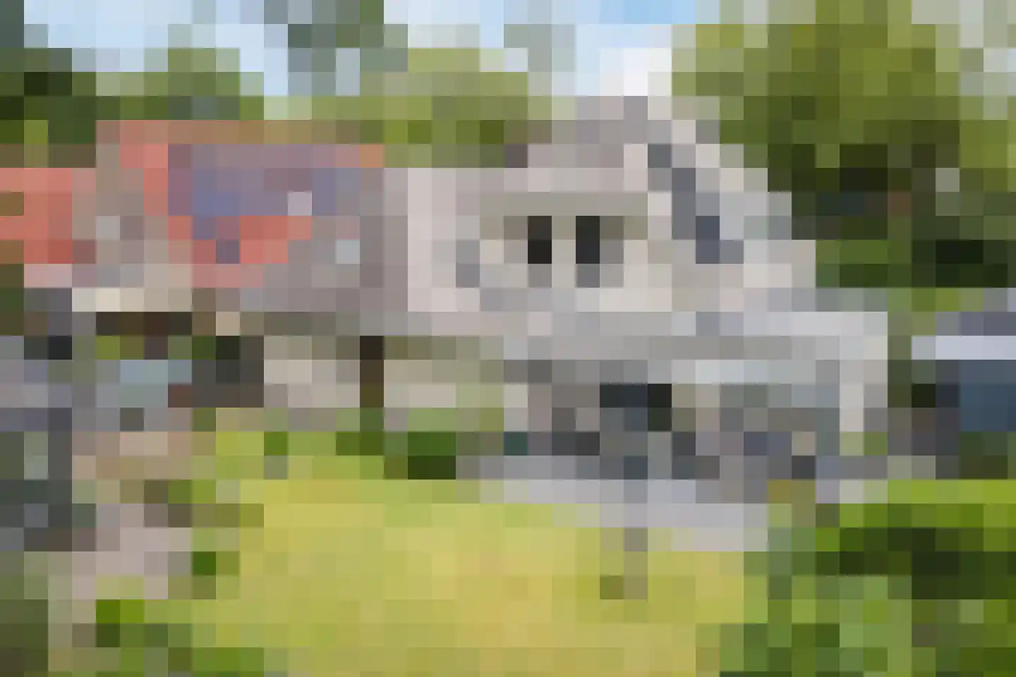 De Marsen 12 Zuidwolde thumbnail 66