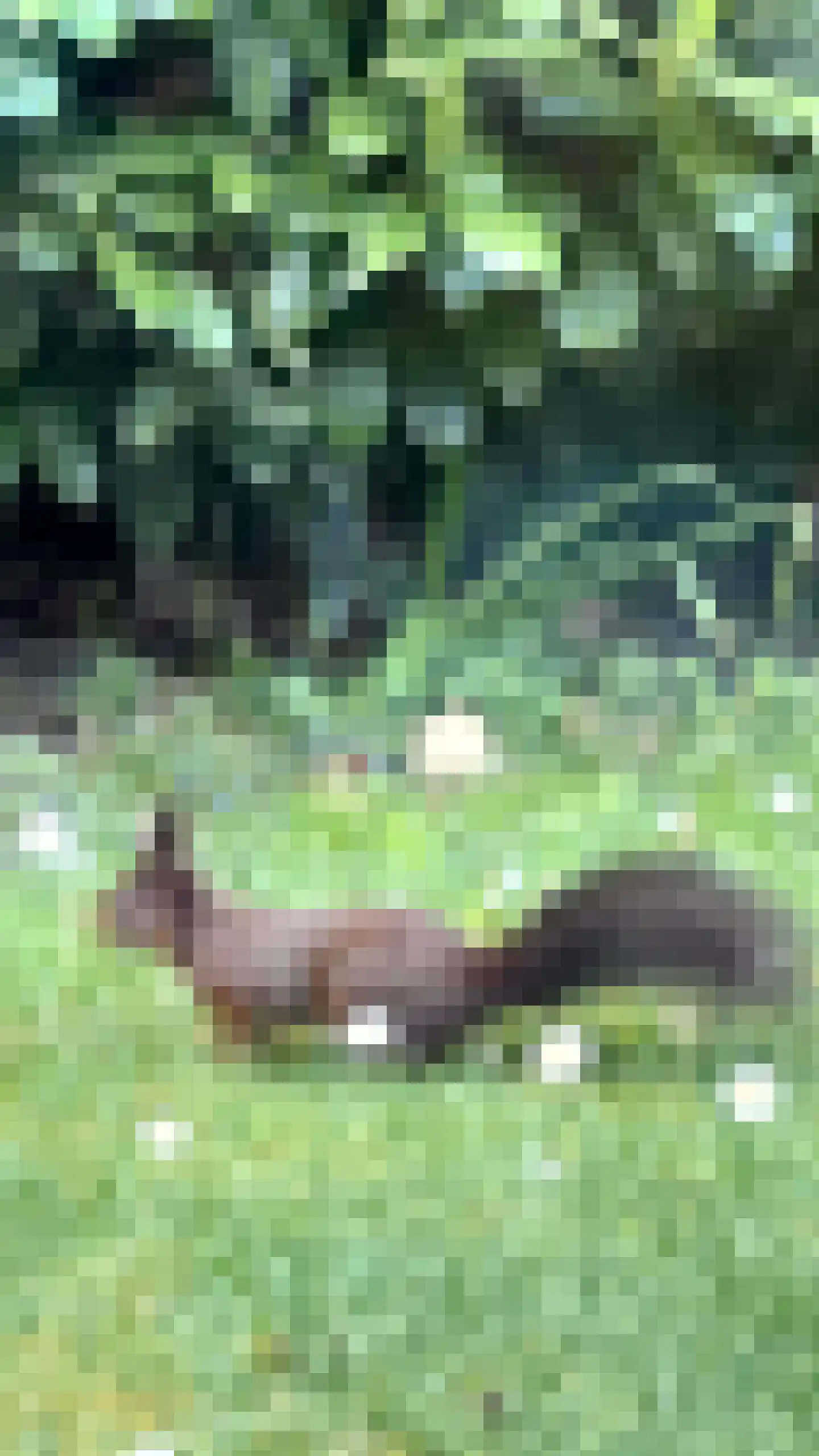 De Marsen 12 Zuidwolde thumbnail 67