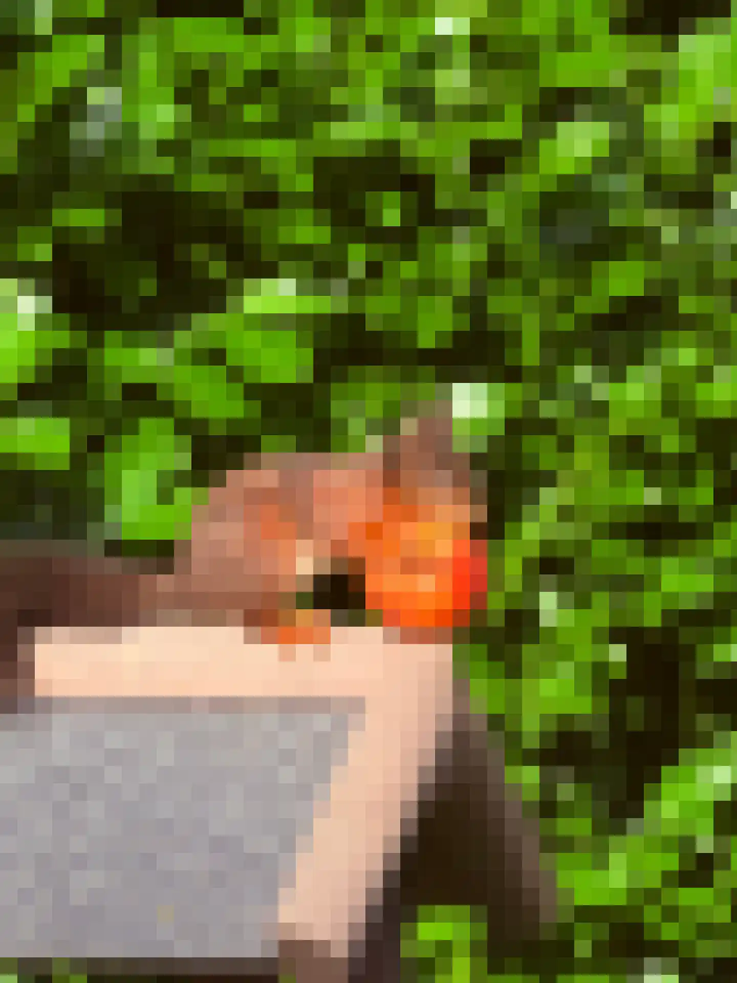 De Marsen 12 Zuidwolde thumbnail 68
