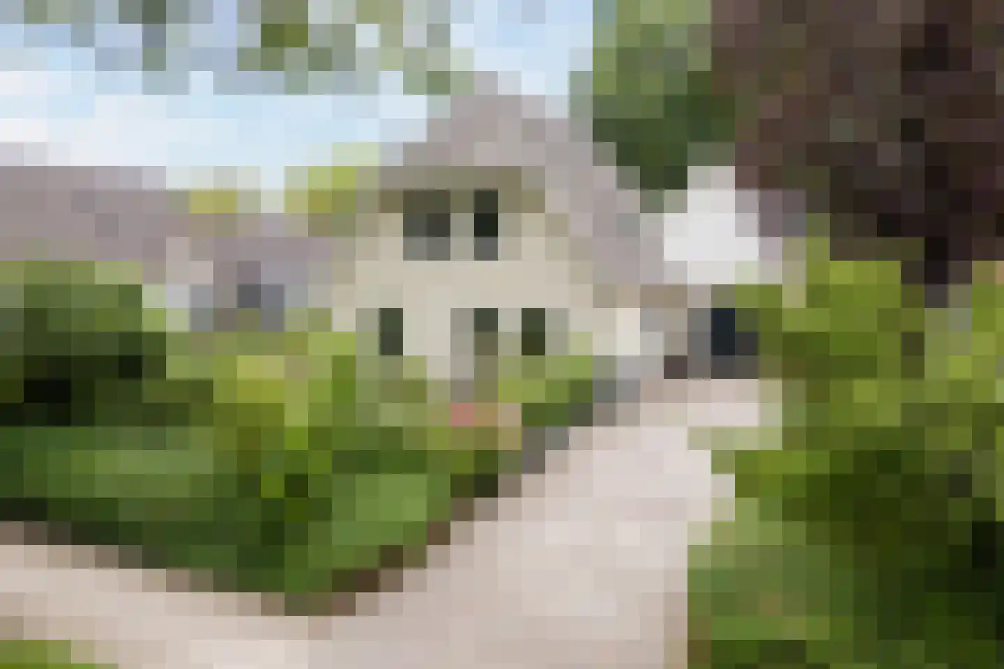 De Marsen 12 Zuidwolde thumbnail 7