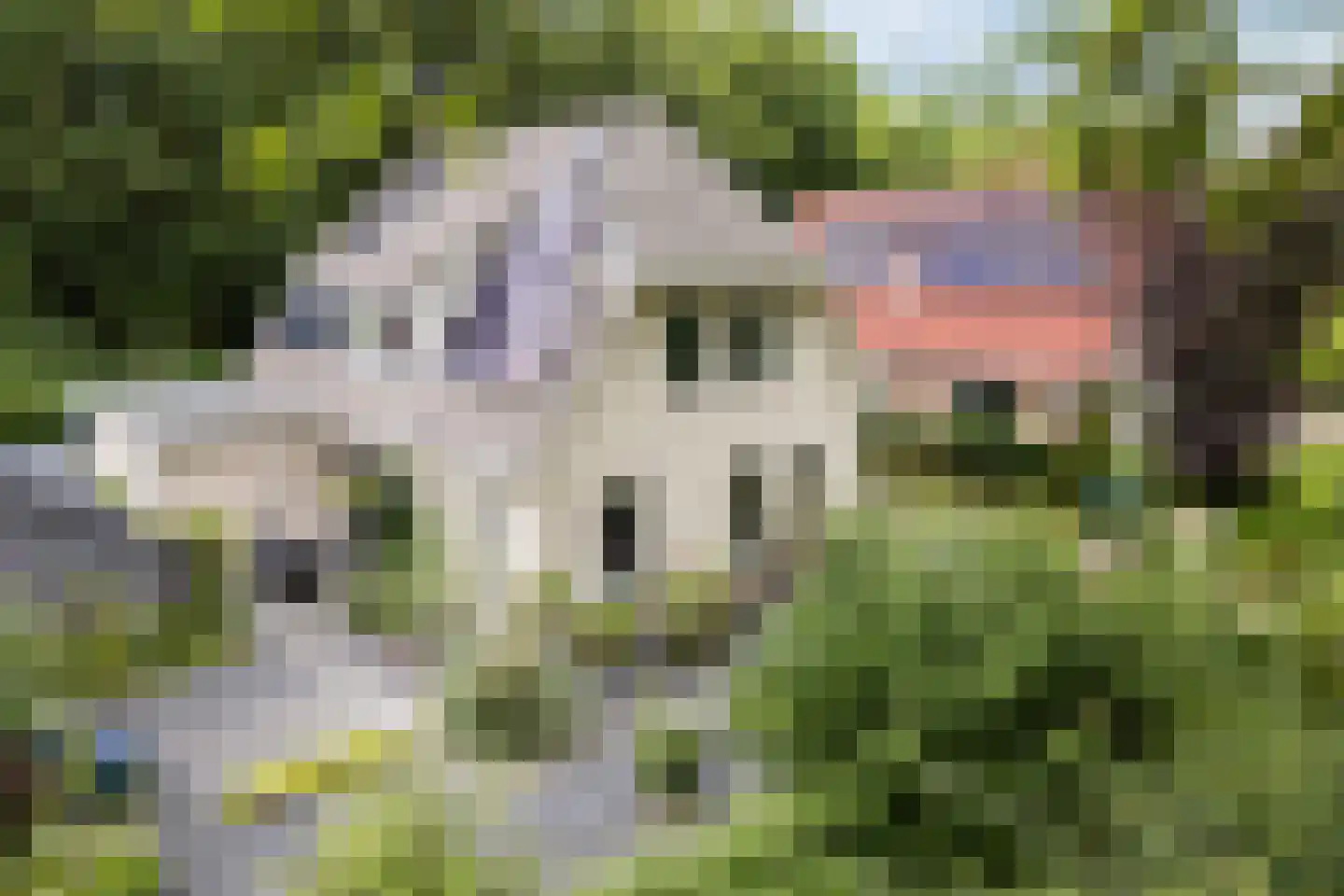 De Marsen 12 Zuidwolde thumbnail 8