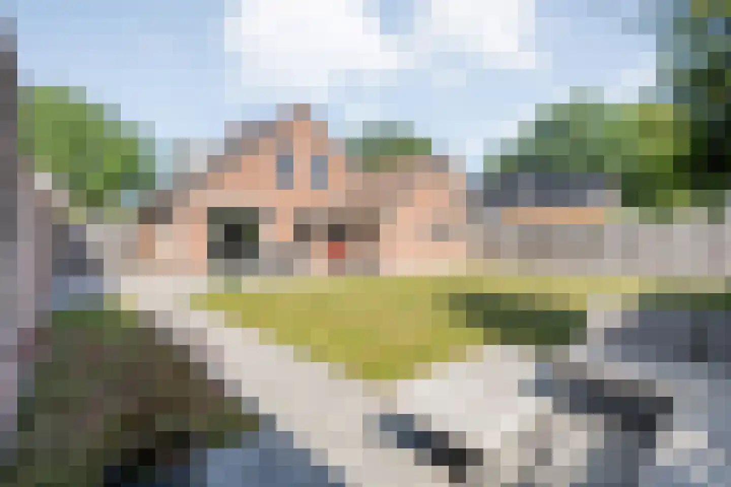 De Marsen 25 Zuidwolde foto 2