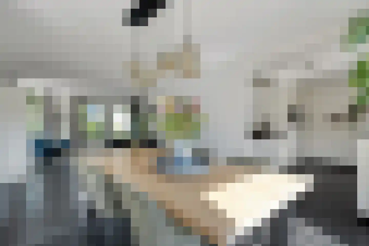 De Marsen 25 Zuidwolde thumbnail 23