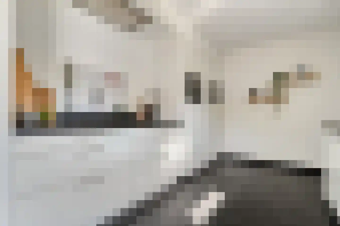 De Marsen 25 Zuidwolde thumbnail 25