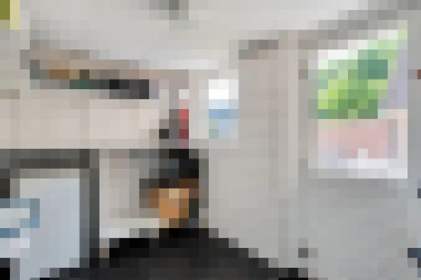 De Marsen 25 Zuidwolde thumbnail 28