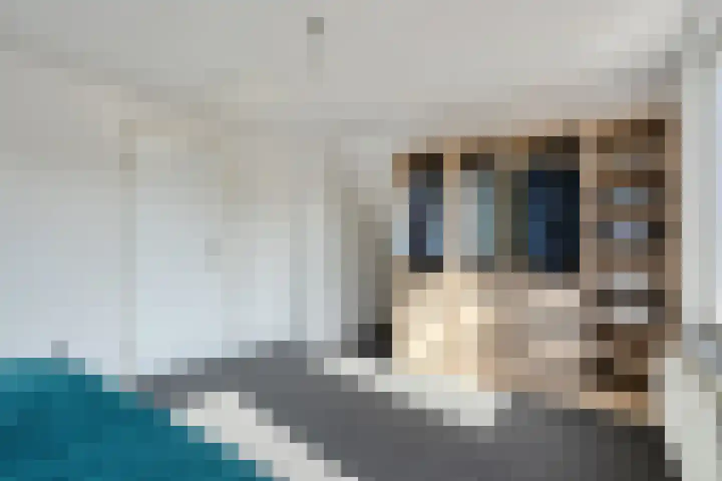 De Marsen 25 Zuidwolde thumbnail 36