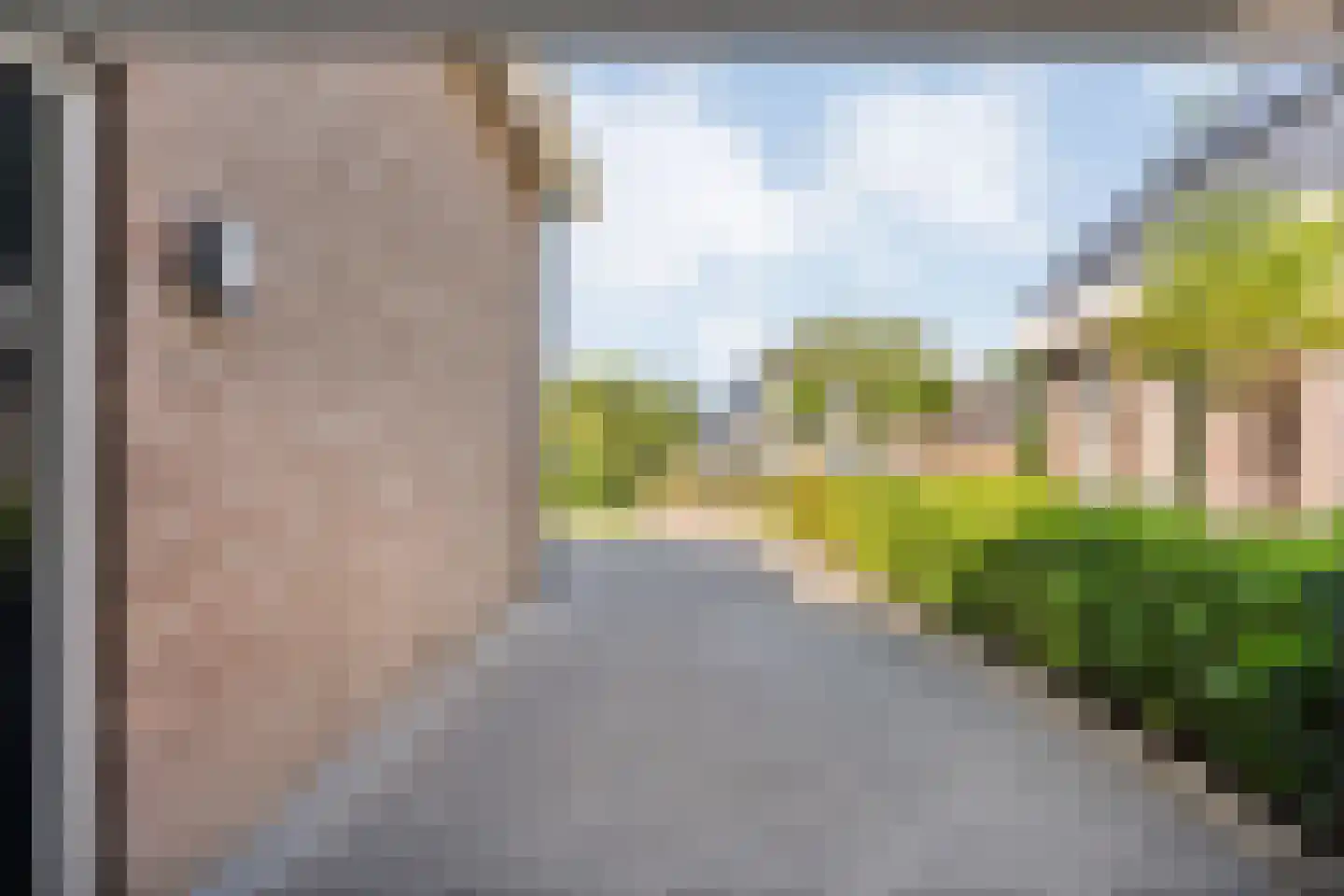 De Marsen 25 Zuidwolde thumbnail 43