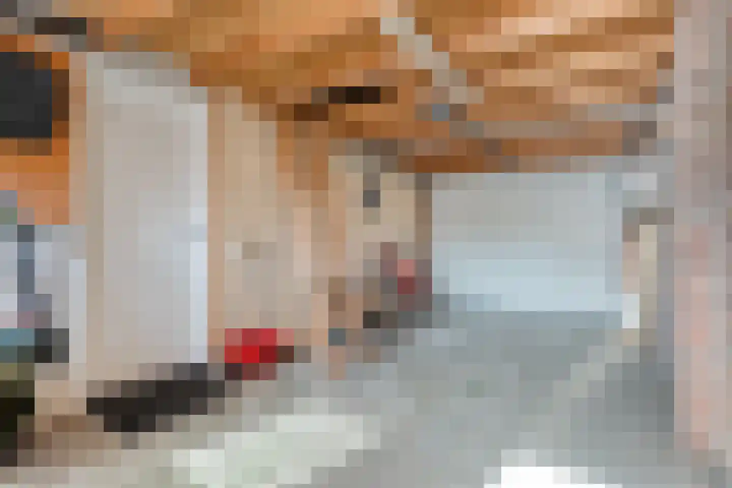 De Marsen 25 Zuidwolde thumbnail 47