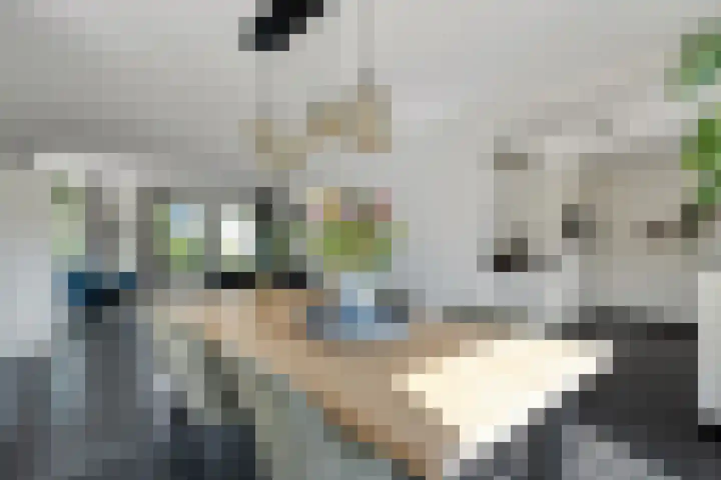 De Marsen 25 Zuidwolde thumbnail 5