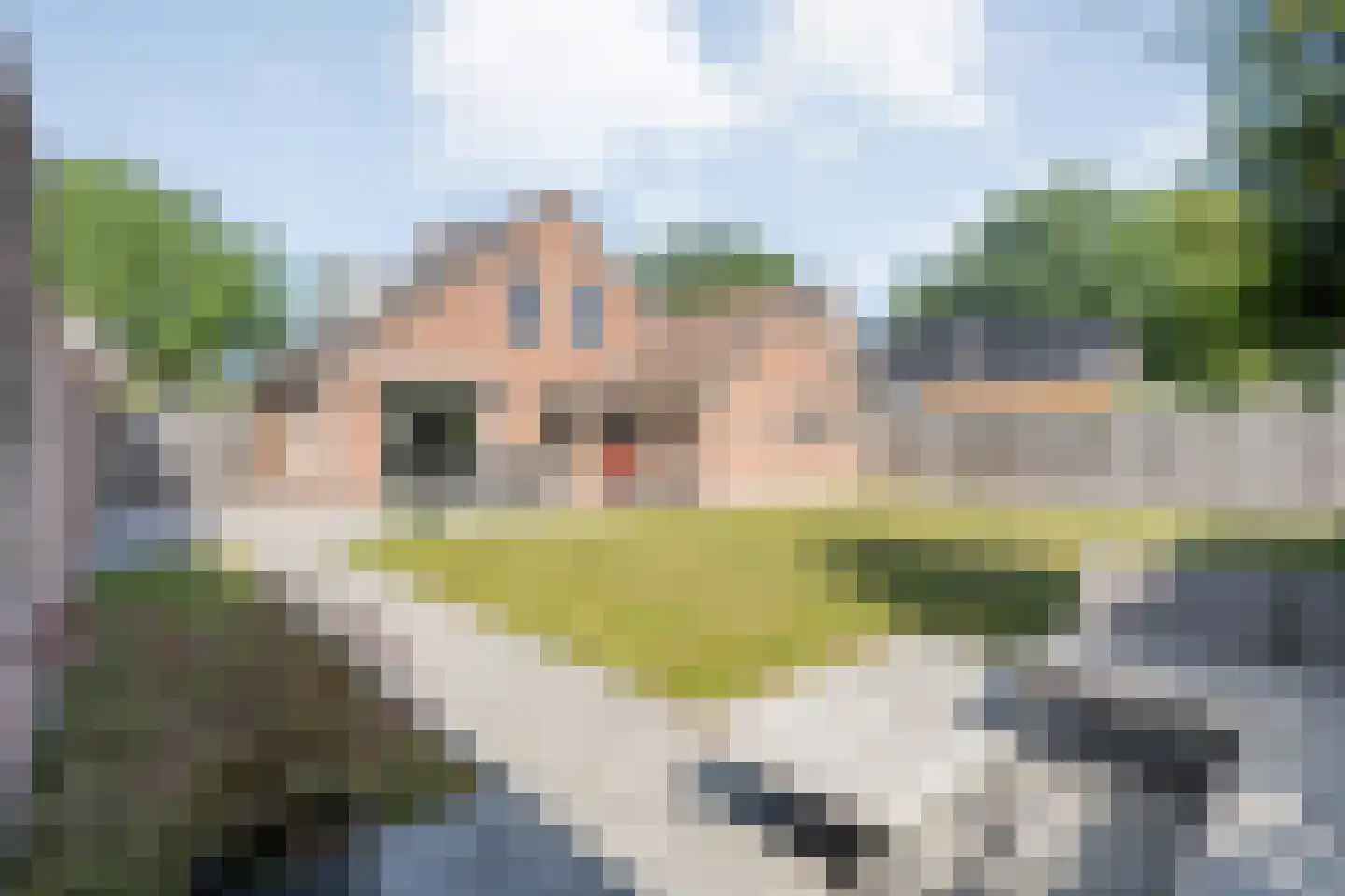 De Marsen 25 Zuidwolde thumbnail 50