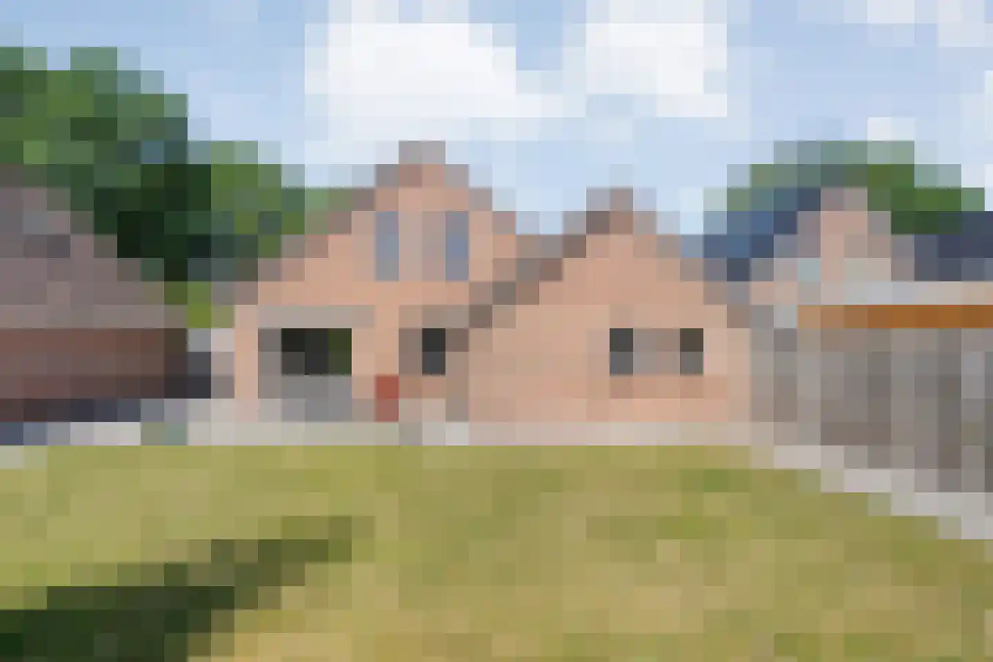 De Marsen 25 Zuidwolde thumbnail 51