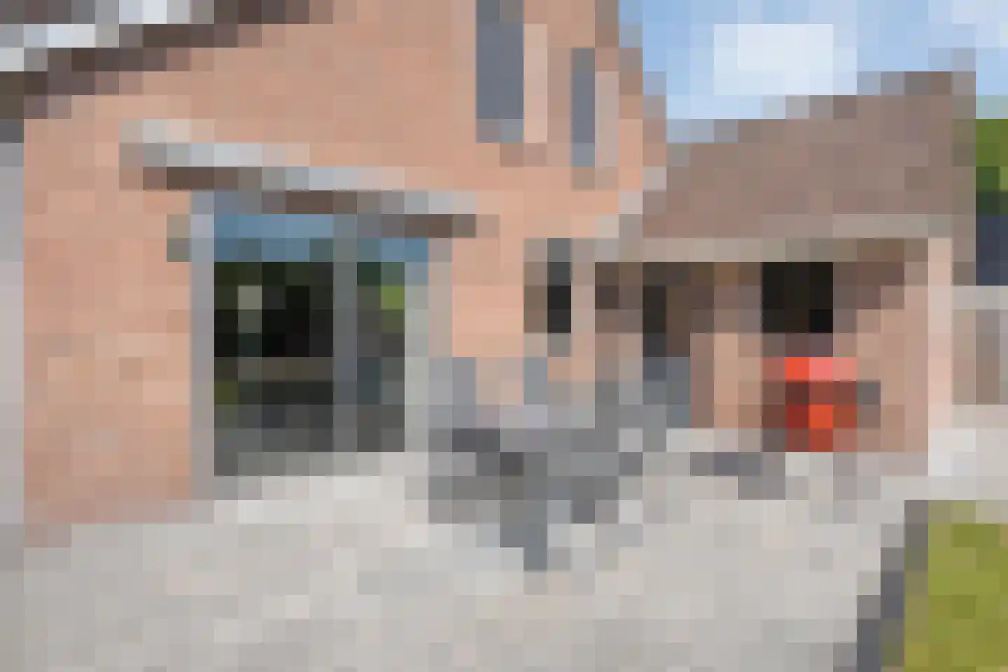 De Marsen 25 Zuidwolde thumbnail 52
