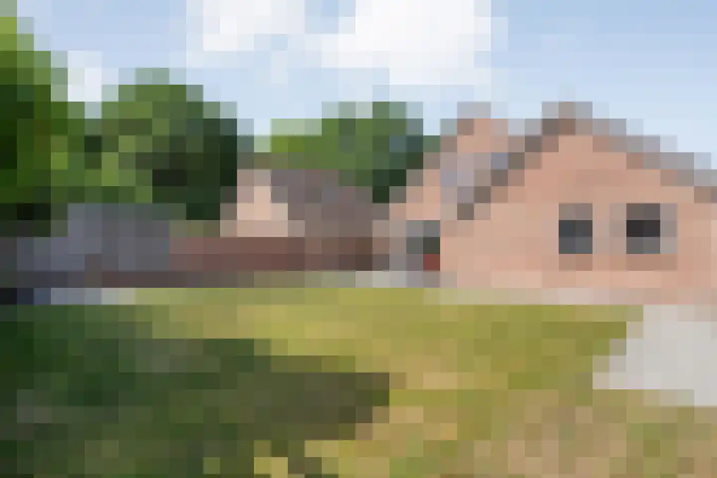 De Marsen 25 Zuidwolde thumbnail 54
