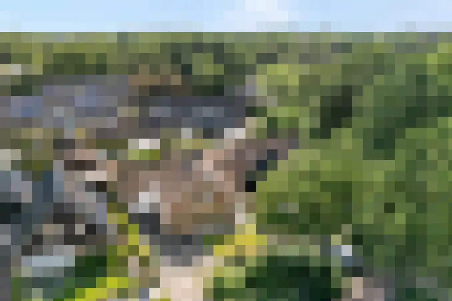 De Marsen 25 Zuidwolde thumbnail 62