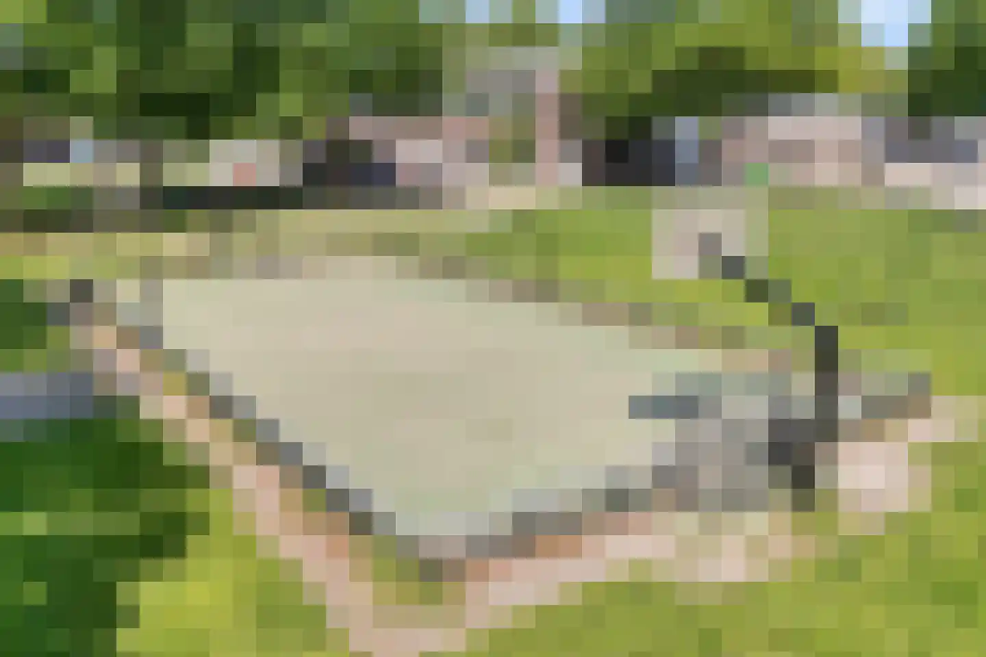 De Marsen 25 Zuidwolde thumbnail 65