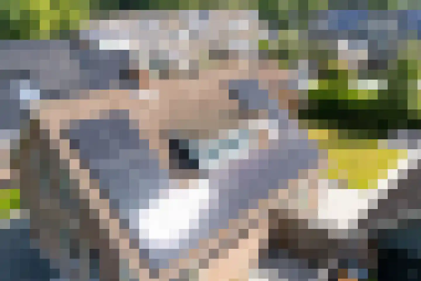 De Marsen 25 Zuidwolde thumbnail 7