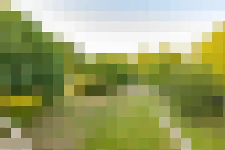 De Marsenstede 15 Zuidwolde thumbnail 22