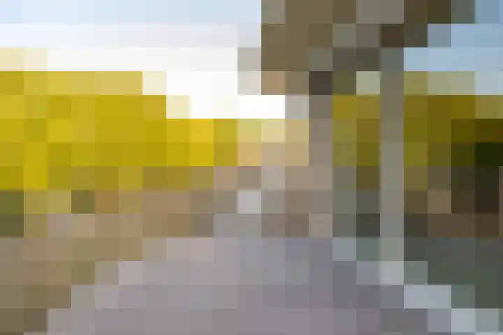 De Marsenstede 15 Zuidwolde thumbnail 23