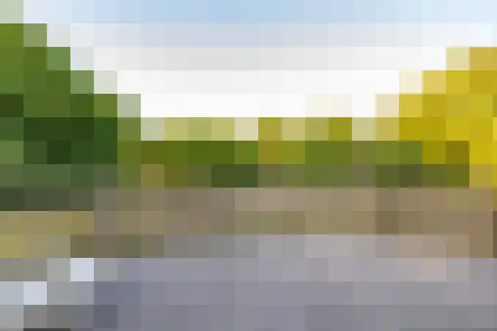 De Marsenstede 15 Zuidwolde thumbnail 24