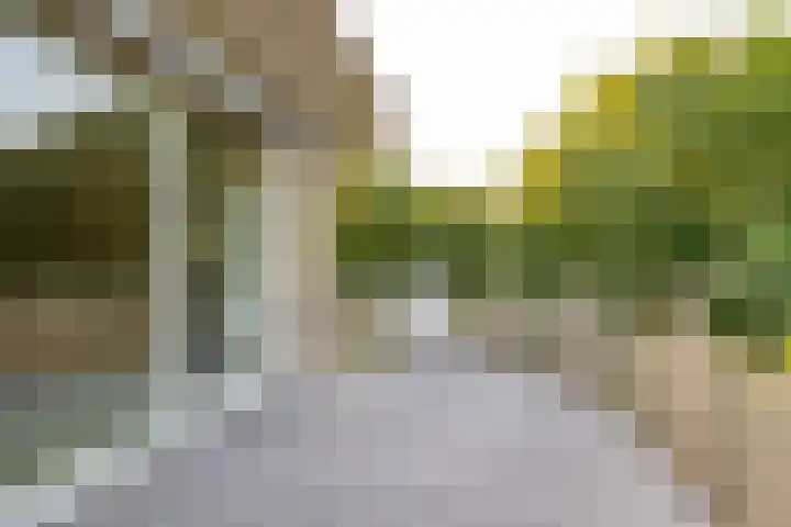 De Marsenstede 15 Zuidwolde thumbnail 25