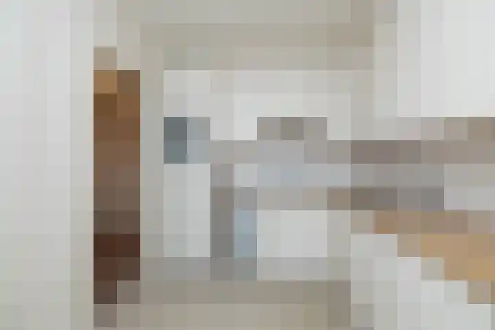 De Marsenstede 15 Zuidwolde thumbnail 30