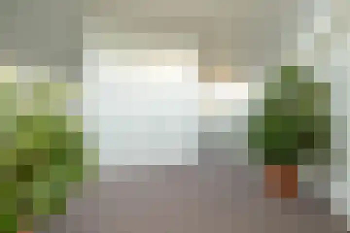De Marsenstede 15 Zuidwolde thumbnail 41