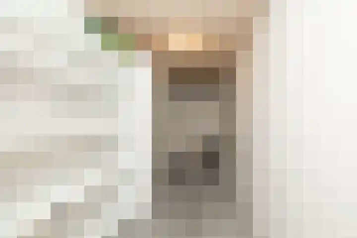 De Marsenstede 15 Zuidwolde thumbnail 46