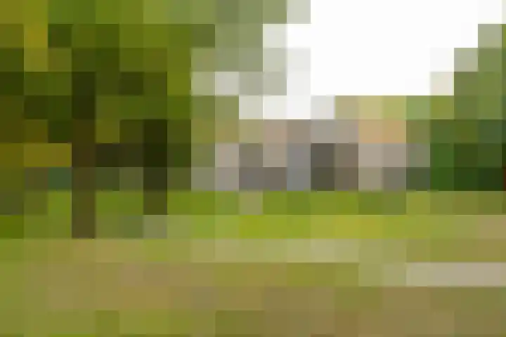 De Marsenstede 15 Zuidwolde thumbnail 49