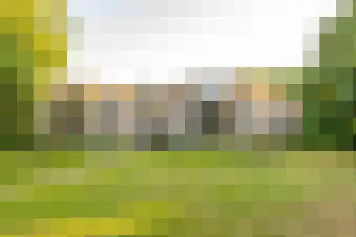 De Marsenstede 15 Zuidwolde thumbnail 5