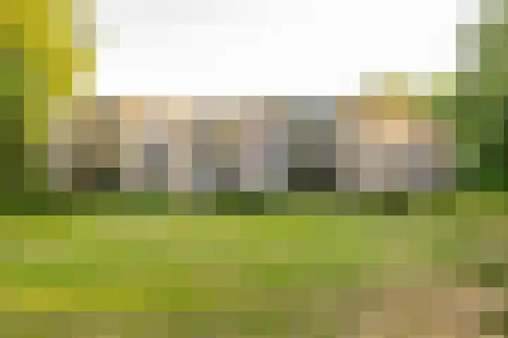 De Marsenstede 15 Zuidwolde thumbnail 50
