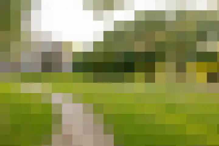De Marsenstede 15 Zuidwolde thumbnail 51