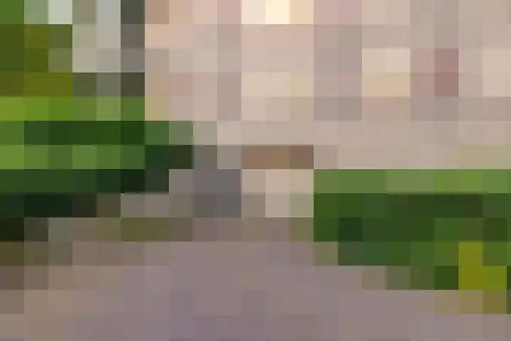 De Marsenstede 15 Zuidwolde thumbnail 53