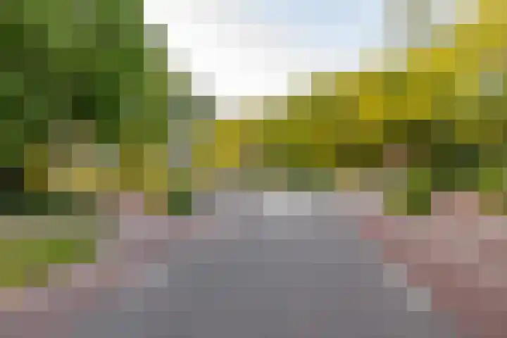De Marsenstede 15 Zuidwolde thumbnail 55
