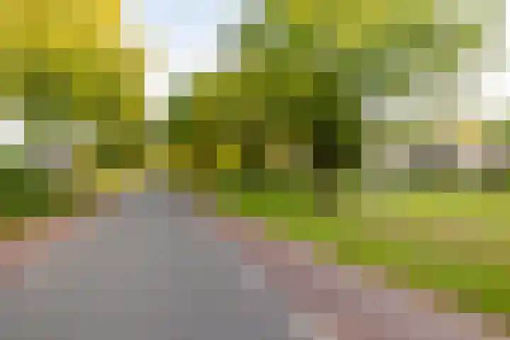 De Marsenstede 15 Zuidwolde thumbnail 56