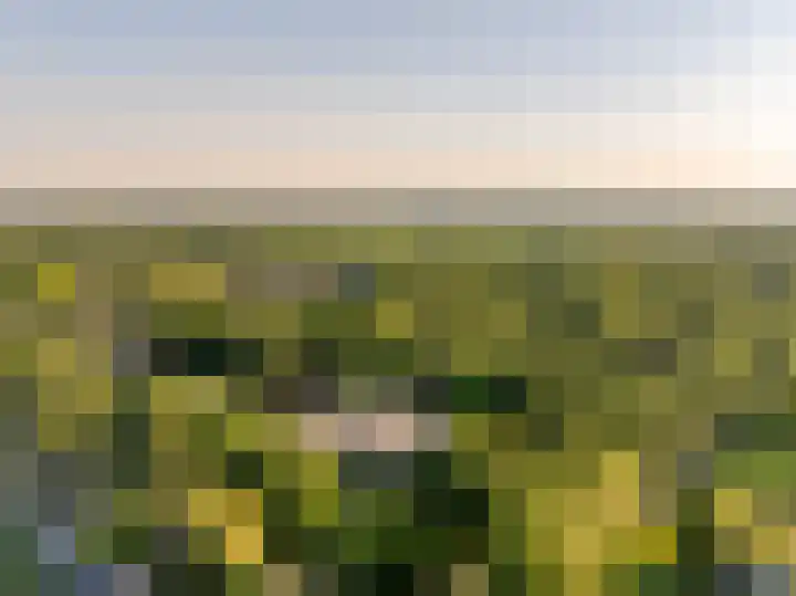 De Marsenstede 15 Zuidwolde thumbnail 57