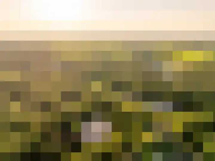 De Marsenstede 15 Zuidwolde thumbnail 58