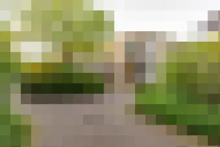 De Marsenstede 15 Zuidwolde thumbnail 7