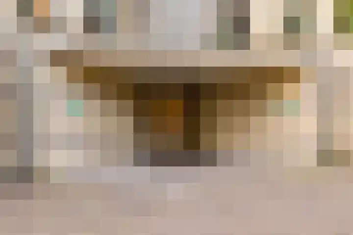 De Marsenstede 15 Zuidwolde thumbnail 8