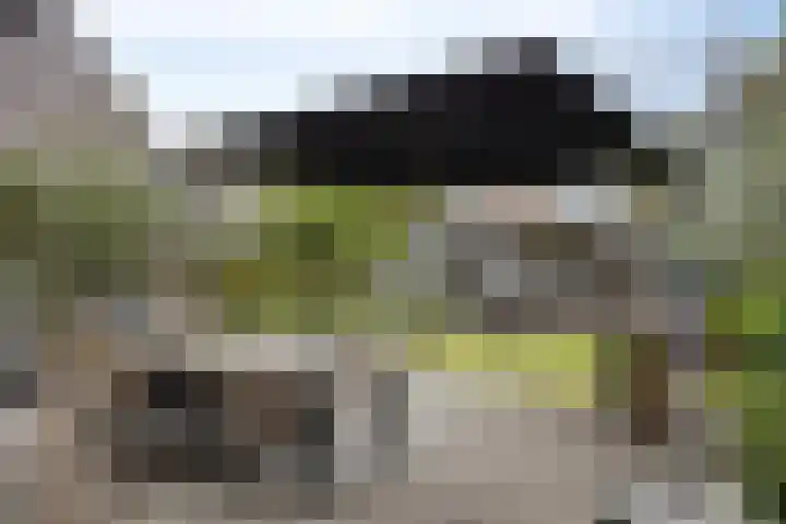 de Marsjes 31 Hellendoorn thumbnail 10