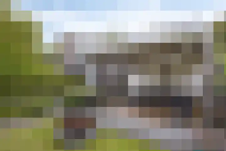 de Marsjes 31 Hellendoorn thumbnail 13