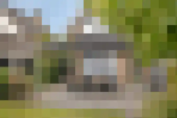 de Marsjes 31 Hellendoorn thumbnail 33
