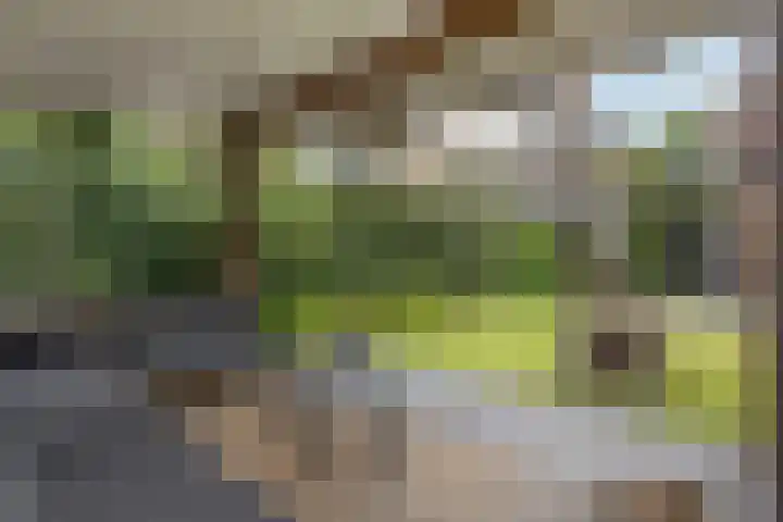 de Marsjes 31 Hellendoorn thumbnail 34