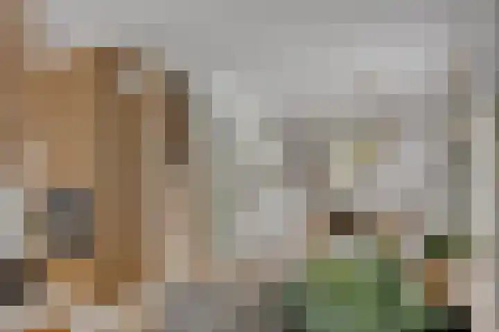 de Marsjes 31 Hellendoorn thumbnail 4