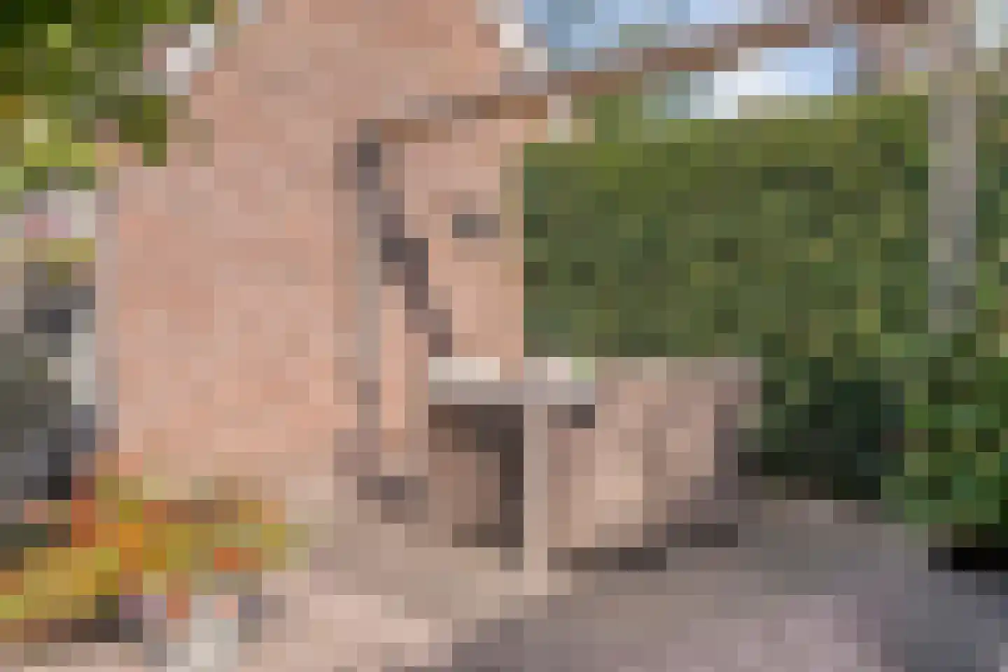 de Marsjes 4 Hellendoorn thumbnail 43