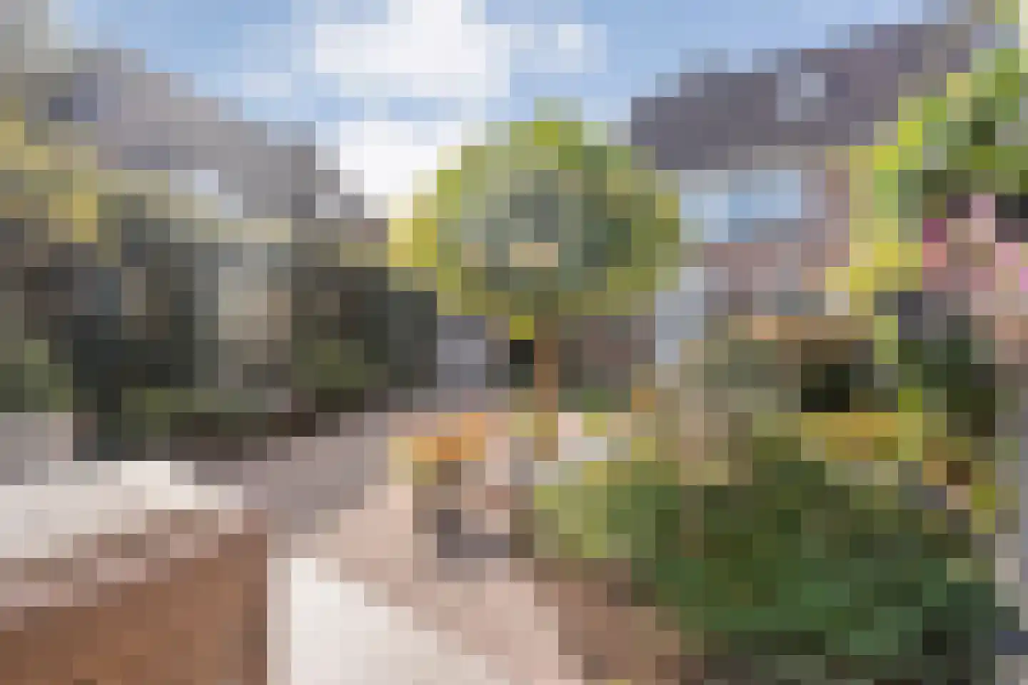 de Marsjes 4 Hellendoorn thumbnail 44