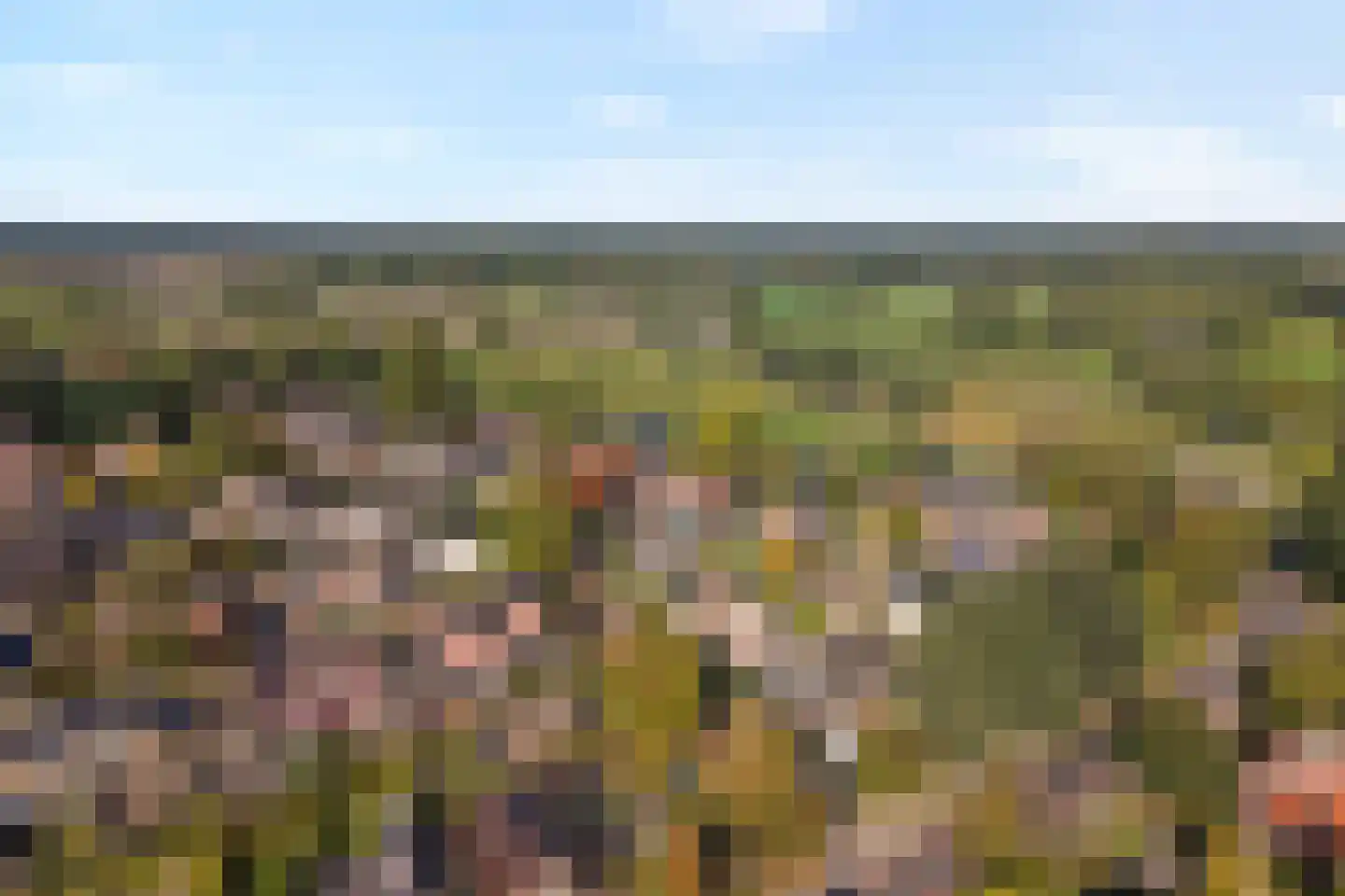 de Marsjes 4 Hellendoorn thumbnail 53