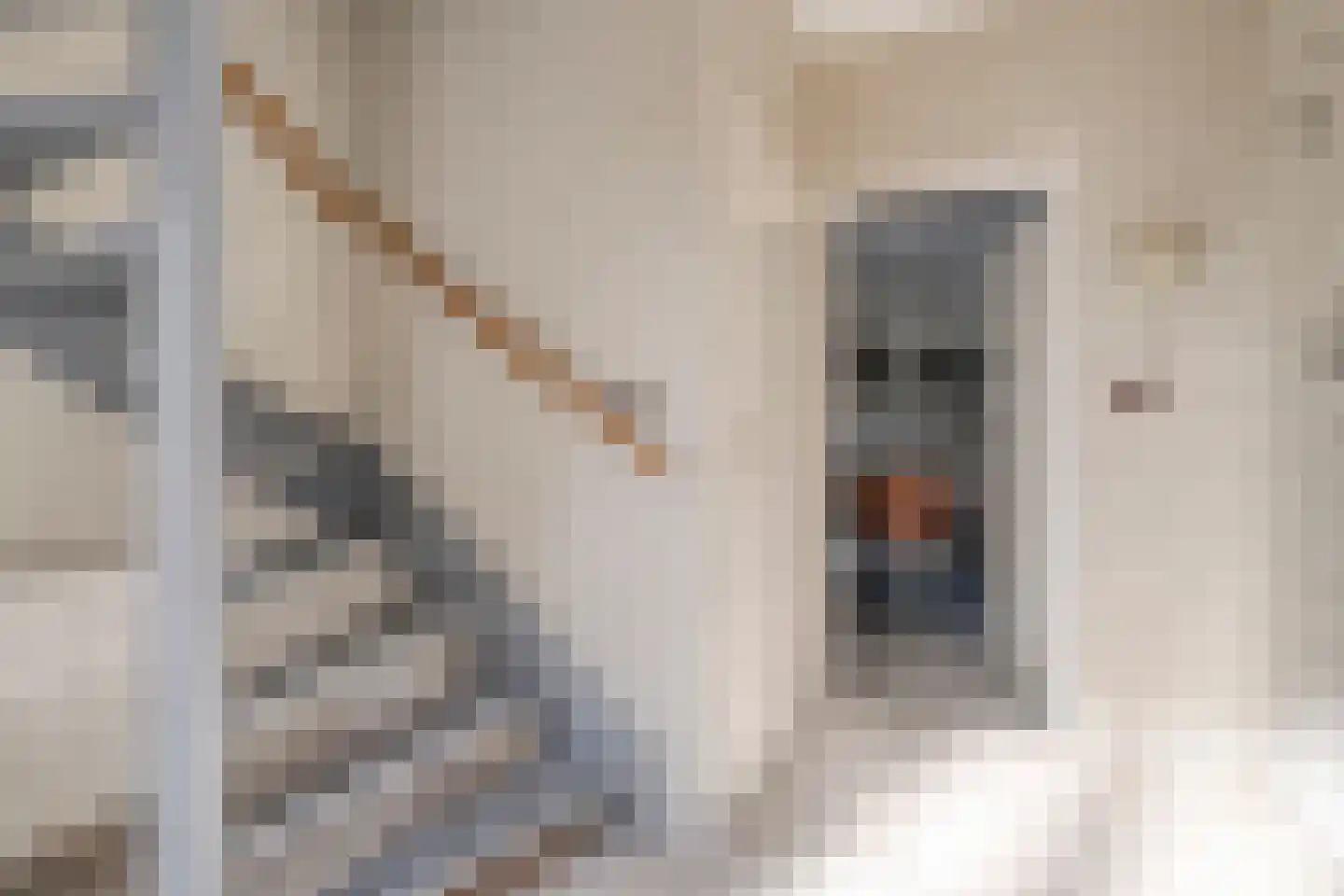 de Marsjes 4 Hellendoorn thumbnail 6